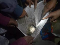 四川西昌5人抓133只野生蛙構(gòu)成非法狩獵罪，各罰八千青海水土保持代辦公司