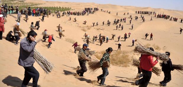 庫(kù)布其植樹(shù)節(jié)將舉行“治沙碳中和 保護(hù)母親河 ”紀(jì)念活動(dòng)西寧水土保持代辦公司